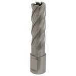 Sealey Worksafe® 17mm HSS Mag Drill Bit Cut Depth 50mm