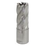 Sealey Worksafe® 17mm HSS Mag Drill Bit Cut Depth 25mm