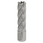 Sealey Worksafe® 18mm HSS Mag Drill Bit Cut Depth 50mm