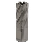 Sealey Worksafe® 19mm HSS Mag Drill Bit Cut Depth 25mm