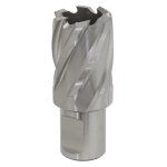 Sealey Worksafe® 25mm HSS Mag Drill Bit Cut Depth 25mm