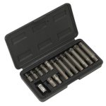 Sealey Ribe Bit & Holder Set 15pc - 3/8"Sq Drive