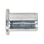 Sealey Regular Threaded Insert (Rivet Nut) M10 - Pack of 50