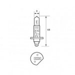 Durite - Bulb 12V 55W H1 UV HALOGEN   - 7-004-48