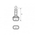 Durite - Bulb 12.8V 37.5W PGJ13 HALOGEN CLEAR   - 7-008-96