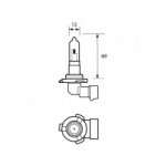 Durite - Bulb 12V 60W HB3 RT/ANG HALOGEN  - 7-090-05