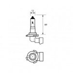 Durite - Bulb 12V 51W HB4 RT/ANG HALOGEN  - 7-090-06