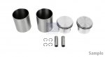 DT Spare Parts -  Piston and liner kit - 2.94490 - 1 Pack