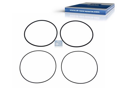 DT Spare Parts - Seal ring kit - 3.90011