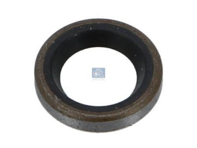 DT Spare Parts - Seal ring - 4.20346