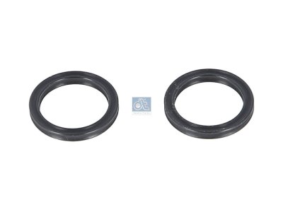 DT Spare Parts - Seal ring kit - 5.45195