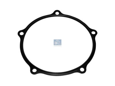 DT Spare Parts - Gasket - 10.20481 - 2 Pack