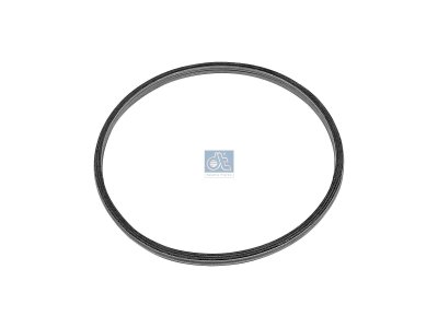 DT Spare Parts - Seal ring - 6.91701