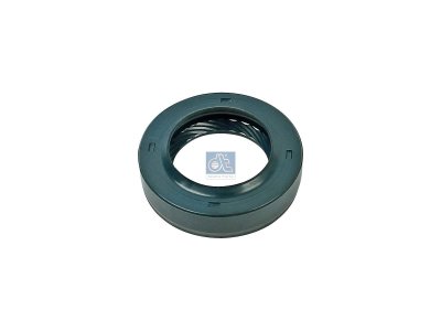 DT Spare Parts - Seal ring - 4.20704