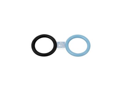 DT Spare Parts - Seal ring kit - 11.15025