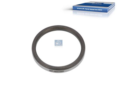 DT Spare Parts - Valve seat ring - 1.10509 - 6 Pack