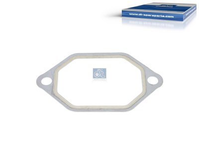 DT Spare Parts - Gasket - 4.20390 - 2 Pack