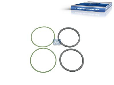 DT Spare Parts - Seal ring kit - 1.35110