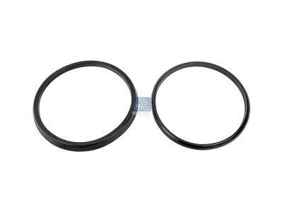 DT Spare Parts - Seal ring kit - 2.96020