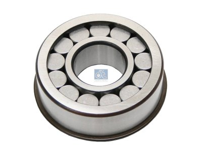 DT Spare Parts - Cylinder roller bearing - 1.16069