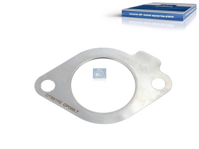 DT Spare Parts - Gasket - 2.10246 - 6 Pack