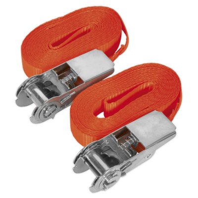 Sealey Self-Securing Ratchet Straps 25mm x 4.5m 800kg Breaking Strength - Pair