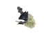 DT Spare Parts - Hand brake valve - 2.43011