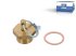 DT Spare Parts - Water drain valve - 2.44031 - 2 Pack