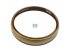 DT Spare Parts - Oil seal - 2.65001