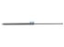 DT Spare Parts - Gas spring - 2.71004