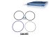 DT Spare Parts - Seal ring kit - 2.91142