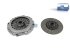 DT Spare Parts - Clutch kit - 2.93053