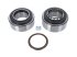 DT Spare Parts - Bearing kit - 2.96208