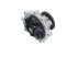 DT Spare Parts - Water pump - 3.16024