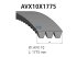 DT Spare Parts - Banded v-belts - 3.34439