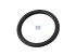 DT Spare Parts - O-ring - 3.89506 - 20 Pack