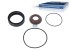 DT Spare Parts - Seal ring kit - 3.95101