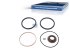 DT Spare Parts - Seal ring kit - 3.95102