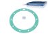 DT Spare Parts - Gasket - 4.20167 - 25 Pack