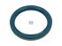 DT Spare Parts - Oil seal - 4.20273