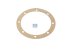 DT Spare Parts - Gasket - 4.20392 - 10 Pack