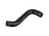 DT Spare Parts - Radiator hose - 4.80458