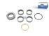 DT Spare Parts - King pin kit - 4.91932