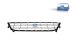 DT Spare Parts - Front grill - 6.70360