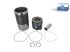 DT Spare Parts - Piston with liner - 4.90956