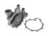 DT Spare Parts - Water pump - 5.41005