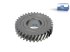 DT Spare Parts - Gear - 4.00278