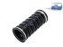 DT Spare Parts - Charge air hose - 2.15785