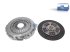 DT Spare Parts - Clutch kit - 3.00312