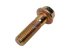 DT Spare Parts - Screw - 3.89612 - 20 Pack